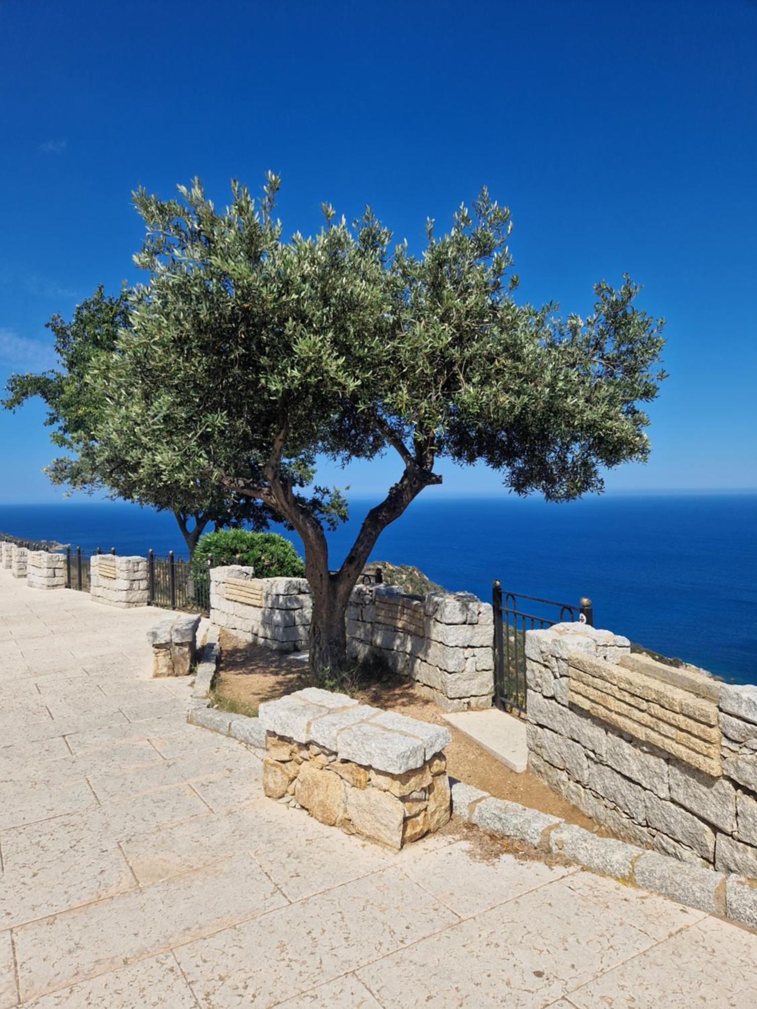 Casa Olive Lägenhet San Vito  Exteriör bild